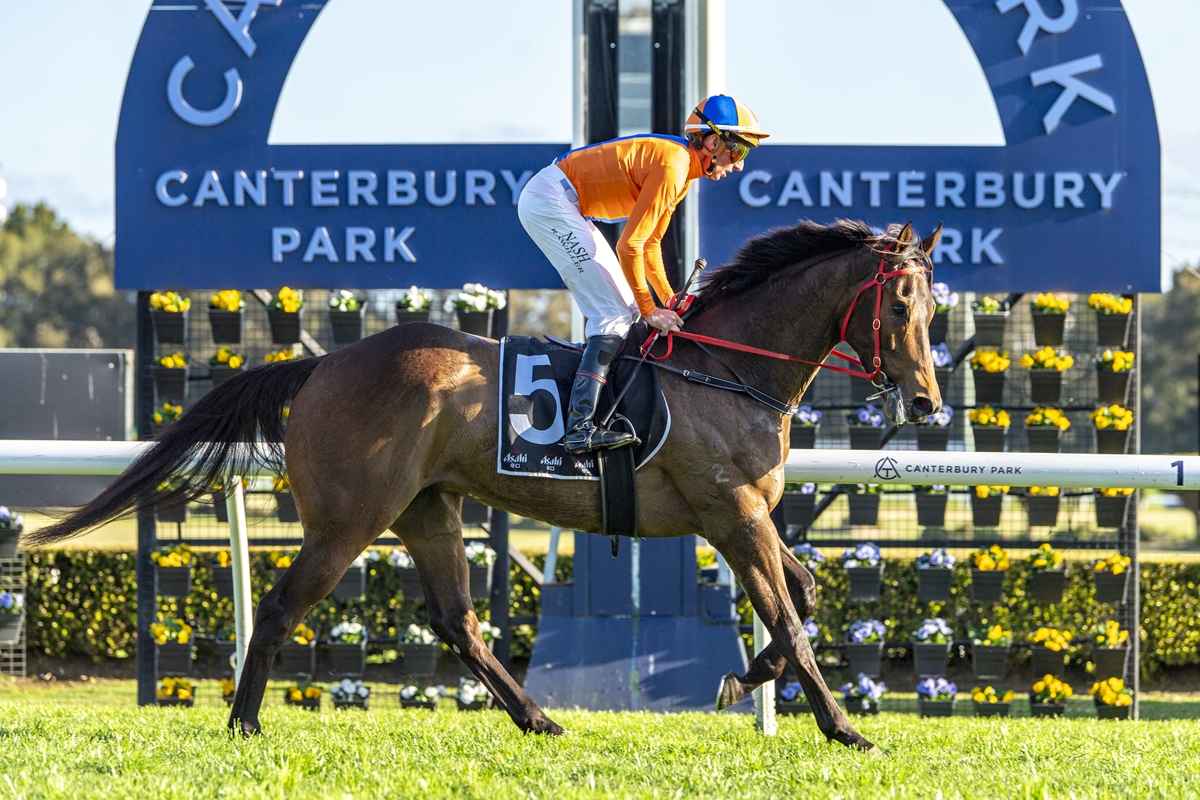Nash’s daring tactics pay off