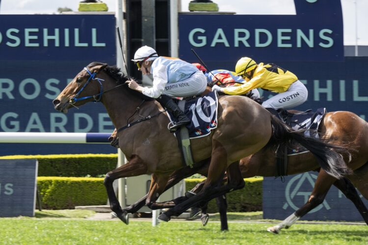 Unbeaten filly Proxima Dea has emerged as a leading VRC Oaks contender after a thrilling win over older horses at Rosehill. [Bradley Photos]