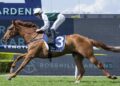 Boom stayer Aethelwulf has Smith dreaming big after Rosehill romp
