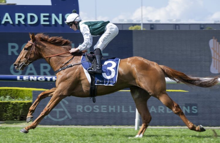 Boom stayer Aethelwulf and Zac Lloyd cruise to another dominant victory at Rosehill Gardens. [Bradley Photos]