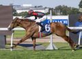 Golden Rose beckons after Plagiarism runs rivals ragged