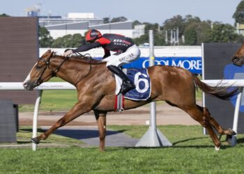 Golden Rose beckons after Plagiarism runs rivals ragged