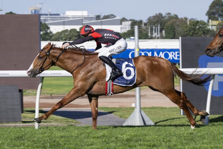 Plagiarism and Regan Bayliss run their rivals ragged in the Up And Coming Stakes at Rosehill, putting the three-year-old into the Golden Rose picture. [Bradley Photos]