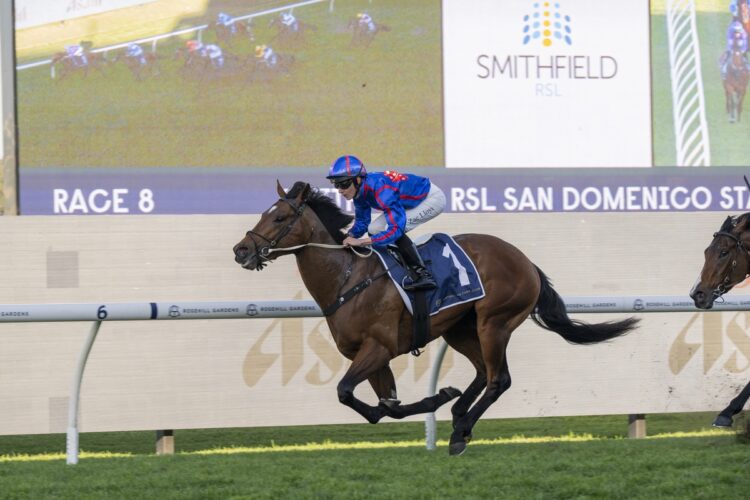 Golden Slipper winner Guest House and Zac Lloyd burst through along the inside before smashing Rosehill’s 1100m track record in the San Domenico Stakes. [Bradley Photos]