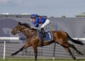 Hits and misses: Guest House soars as Cox Plate dream fades