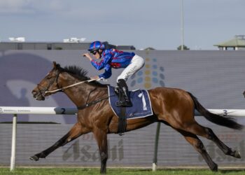 Hits and misses: Guest House soars as Cox Plate dream fades