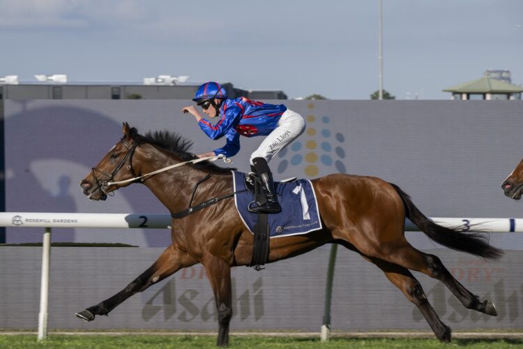 Guest House and Zac Lloyd smash the Rosehill 1100m track record in a stunning San Domenico Stakes return that puts The Everest firmly on the radar. [Bradley Photos]