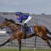 Hits and misses: Guest House soars as Cox Plate dream fades