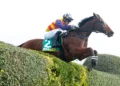 Mitch Ellis’ Casterton Jumps Set: Your complete guide to Sunday’s jumping action
