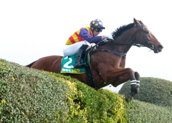Mitch Ellis’ Casterton Jumps Set: Your complete guide to Sunday’s jumping action