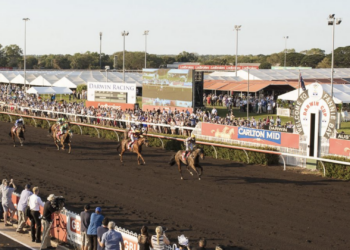 In The Lab: Darwin Cup preview finds a huge overlay in the feature