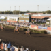 In The Lab: Darwin Cup preview finds a huge overlay in the feature