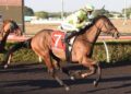 Mitch Lewis’ Darwin Preview: Best bets and value plays for the Cup meeting