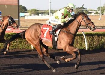 Mitch Lewis’ Darwin Preview: Best bets and value plays for the Cup meeting