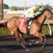 Mitch Lewis’ Darwin Preview: Best bets and value plays for the Cup meeting