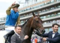 Map Of Stars: Cox Plate contender or overhyped import?