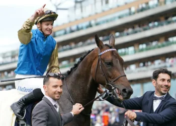 Map Of Stars: Cox Plate contender or overhyped import?