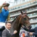Map Of Stars: Cox Plate contender or overhyped import?