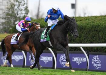 “I haven’t seen a debut win like this”: Fortitudine stuns on debut with breathtaking 21-length romp