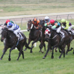 NZ Trial Watcher targets Ruakaka: A stacked betting sheet for Saturday