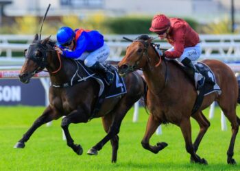 Dean Watling’s NSW Trial Review: A stuffed blackbook of coming winners