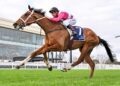 Cosmic Crusader earns Group 1 shot