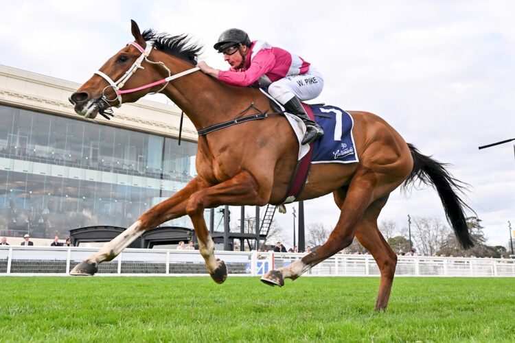 Cosmic Crusader (NZ) ridden by William Pike wins the Catanach's Jewellers P.B. Lawrence Stakes at Caulfield Racecourse on August 15, 2026 in Caulfield, Australia. (Photo by Pat Scala/Racing Photos)