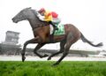 Dabernig plots Group 1 path for unbeaten Oliveanotherday