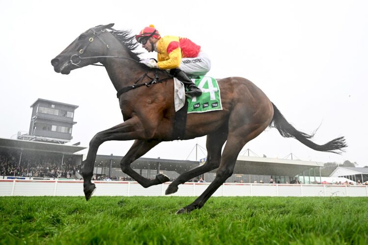 Oliveanotherday ridden by Harry Coffey wins the The Midfield Group Colin McKenna Wangoom Handicap at Warrnambool Racecourse on May 06, 2026 in Warrnambool, Australia. (Photo by Pat Scala/Racing Photos)