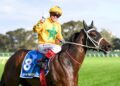 Matt Welsh’s Cranbourne Jump-Out Horses to Follow: August 17