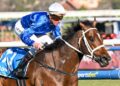 Memsie Day talking points: Nash’s masterclass, daylight robbery and spring horses to follow