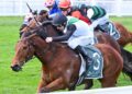 Hard Kick bounces back to put Coolmore firmly in sight