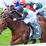 Hard Kick bounces back to put Coolmore firmly in sight