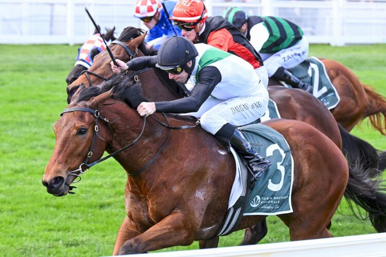 Hard Kick ridden by Damian Lane wins the Tobin Brothers Vain Stakes at Caulfield Racecourse on August 15, 2026 in Caulfield, Australia. (Photo by Pat Scala/Racing Photos)