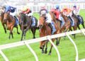 Hits and misses: Spring stars emerge as protest divides opinion