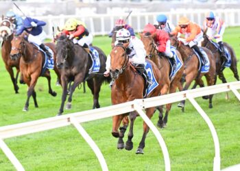 Hits and misses: Spring stars emerge as protest divides opinion