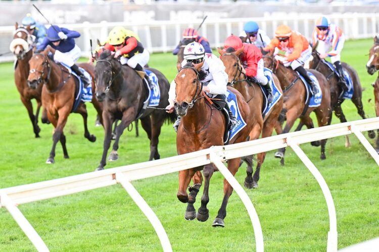 Natural Fling ridden by Damian Lane wins the Quayclean Quezette Stakes at Caulfield Racecourse on August 15, 2026 in Caulfield, Australia. (Photo by Pat Scala/Racing Photos)