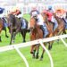 Hits and misses: Spring stars emerge as protest divides opinion