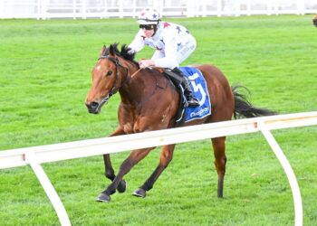 Natural Fling belts her rivals in stacked Quezette