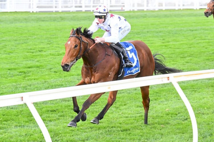 Natural Fling ridden by Damian Lane wins the Quayclean Quezette Stakes at Caulfield Racecourse on August 15, 2026 in Caulfield, Australia. (Photo by Pat Scala/Racing Photos)