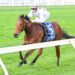 Natural Fling belts her rivals in stacked Quezette