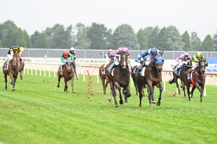 Dreck ridden by Thomas Stockdale wins the Evergreen Turf Maiden Plate at Sportsbet-Ballarat Racecourse on June 12, 2026 in Ballarat, Australia. (Photo by Pat Scala/Racing Photos)