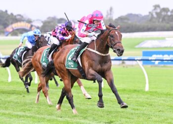 Golden Eagle beckons for bargain buy