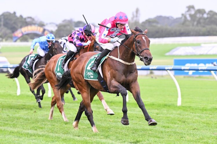 Roulette King ridden by Jamie Mott wins the Evergreen Turf Handicap at Sportsbet Sandown Hillside Racecourse on March 11, 2026 in Springvale, Australia. (Photo by Pat Scala/Racing Photos)