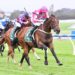 Golden Eagle beckons for bargain buy
