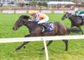 Black Type goal awaits impressive I Am Aria