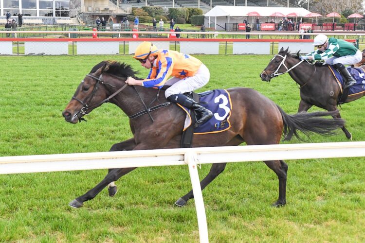 I Am Aria ridden by Michael Dee wins the Sandhurst Stockfeeds Maiden Plate at Bendigo Racecourse on August 12, 2026 in Bendigo, Australia. (Photo by Brett Holburt/Racing Photos)