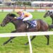 Black Type goal awaits impressive I Am Aria