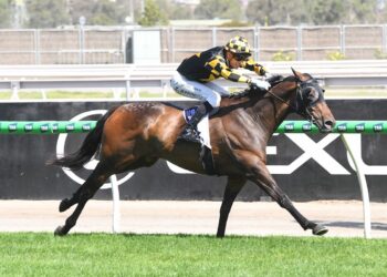 Grand Pierro begins another Melbourne Cup quest