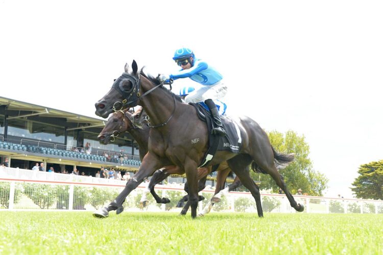 Nursery Chime ridden by Logan Bates wins the The Kevin Paten Handicap at Mornington Racecourse on January 05, 2025 in Mornington, Australia. (Photo by Brett Holburt/Racing Photos) B